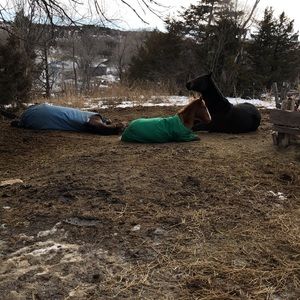 Meet your Posher, Ali